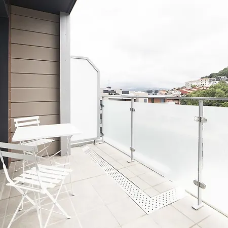 Luxury Terrace - Sshousing Apartment San Sebastián
